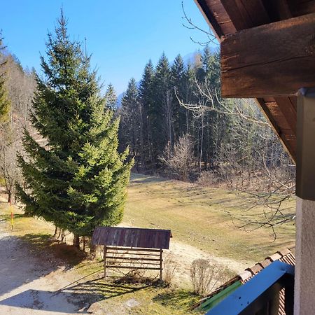 Apartment Dobnikar Kranjska Gora Dış mekan fotoğraf