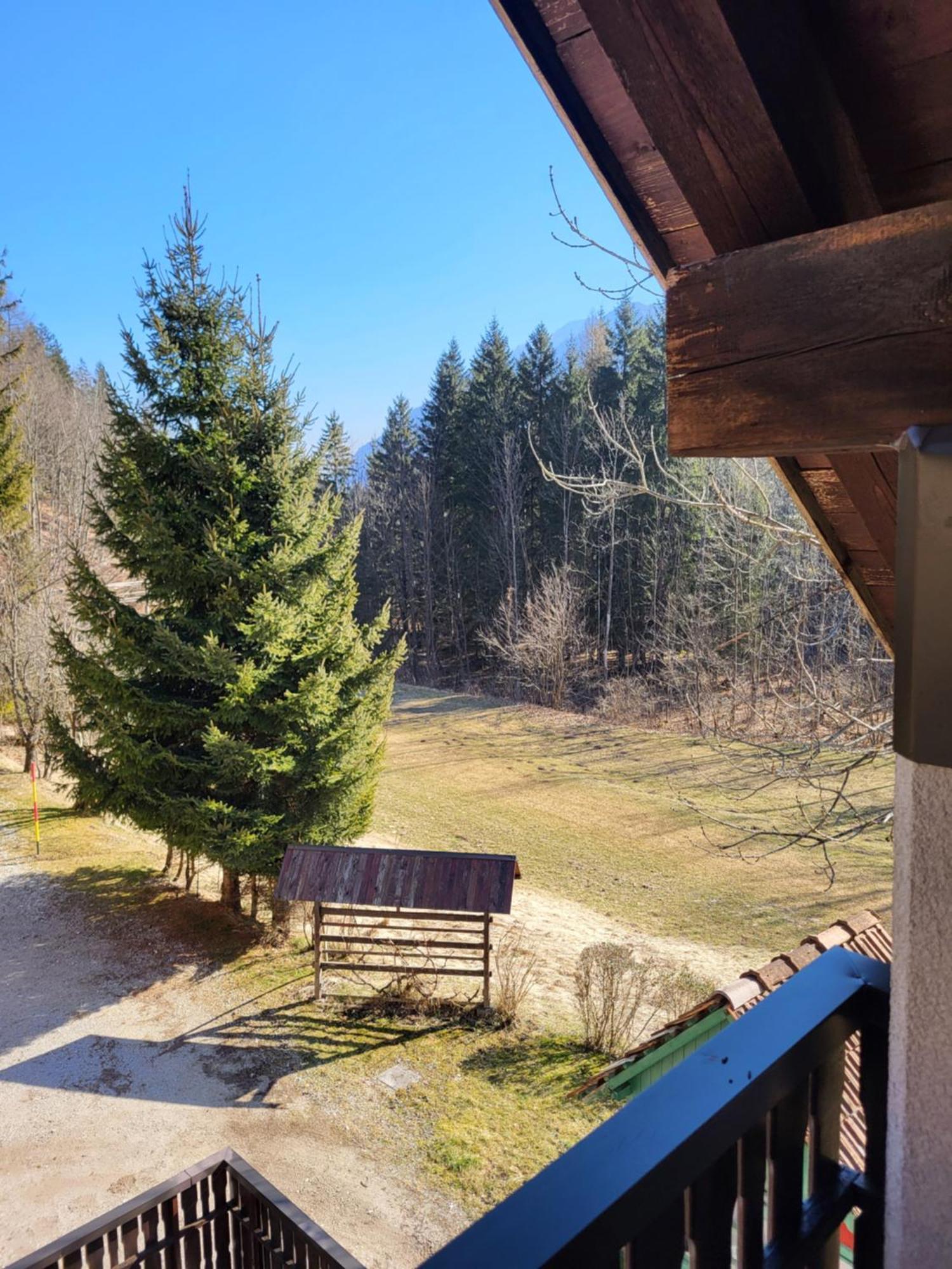 Apartment Dobnikar Kranjska Gora Dış mekan fotoğraf