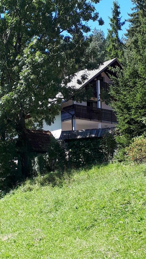 Apartment Dobnikar Kranjska Gora Dış mekan fotoğraf